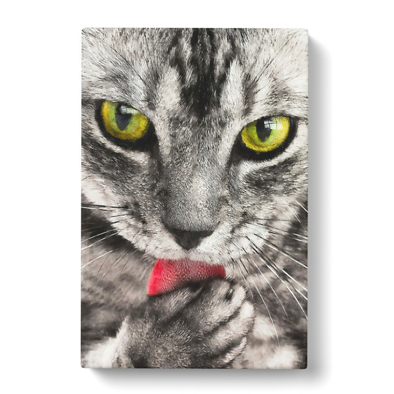 Portrait Of A Cat Vol.9 - Wrapped Canvas, 50cm H x 35cm W x 3cm D
