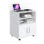 Kadeisha 60.2cm Wide Mobile File Cabinet