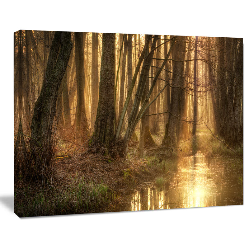 'Golden Morning In Dense Forest' - Wrapped Canvas Print, 30" H x 40" W x 1" D