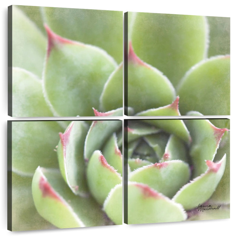 Harnek Garden Succulents III, H 26 po x l 26 po