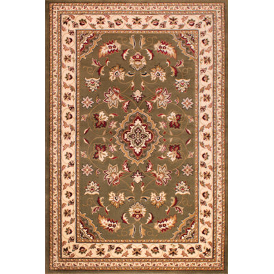 Salsbury Oriental Hand Woven Area Rug