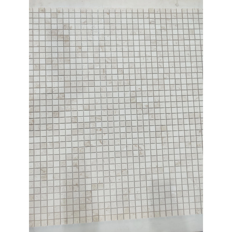 1x1 SHELL STONE HONED
