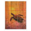 Tortue au coucher du soleil - Art mural moderne en bois sur bois de pin naturel-679908834