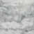 White/Gray