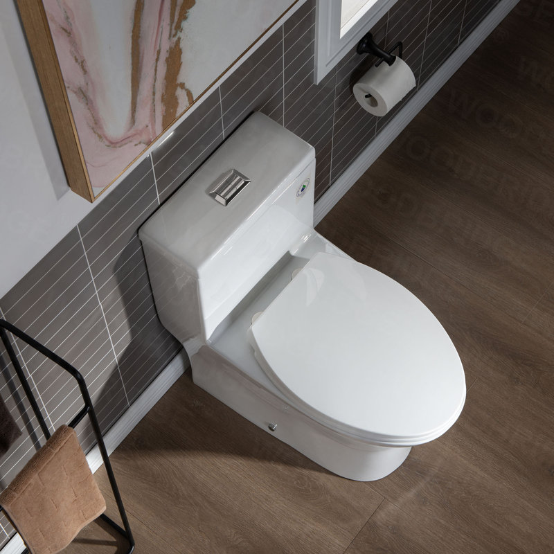 Toilette allongée une pièce à double chasse 1,28 GPF avec siège à fermeture douce, chasse d'eau 1000G, Blanc / nickel brossé