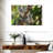 Australian Koala Bears-107922770