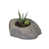 Fieldstone Gray