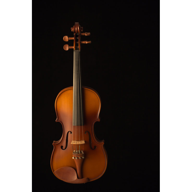 Violin - Wrapped Canvas Print, 91cm H x 61cm W x 3.8cm D