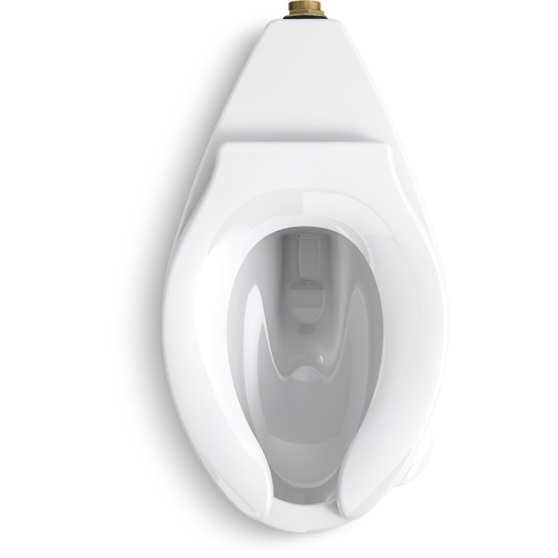 Rear Spud Antimicrobial Flushometer Bowl