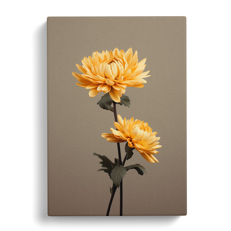 Chrysanthemums Minimalism - No Frame Print, 60cm H x 40cm W x 3cm D