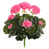 Rose sélectionné