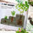 Paddyjoe  EverGrow 3-Tier Galvanized Steel Raised Garden Bed Kit – Stackable Planter Boxes with Safety Edging, 62.25”x43”x32.25” for Backyard, Patio & Outdoor Gardening-337673818