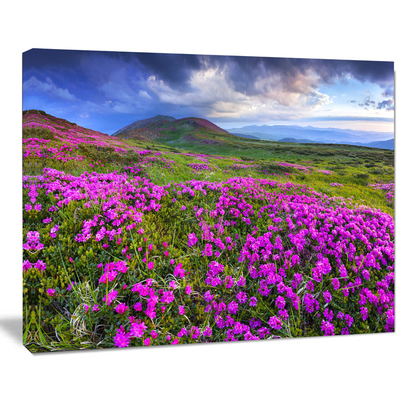 «Rhododendron Flowers in Mountains», impression sur toile tendue, H 8 po x l 12 po x P 1 po