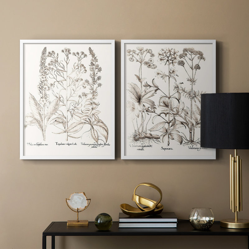 Impression sépia de qualité supérieure sépia Besler Botanicals - prêt à accrocher - aucun clou requis, Blanc