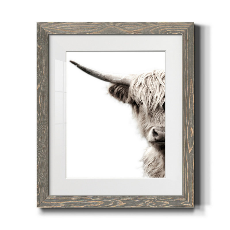 Bétail des Highlands - reproduction de photo, H 20 po x l 17 po x P 1 po, Cadre en papier gris, Blanc