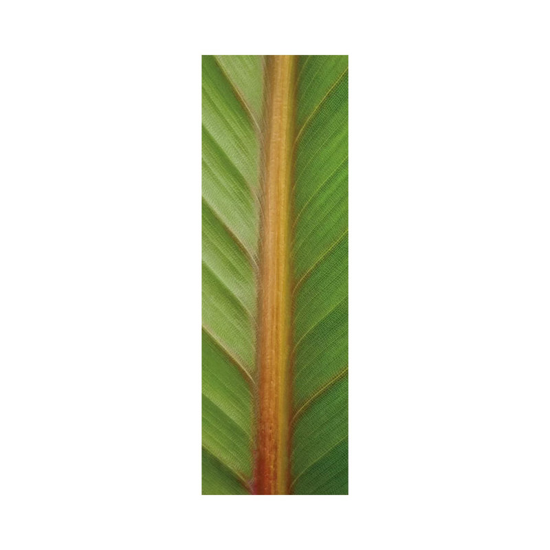 Verdant Trio II by Boyce Watt - Wrapped Canvas Panoramic Print, 30.48 cm H x 91.44 cm W x 3.175 cm D