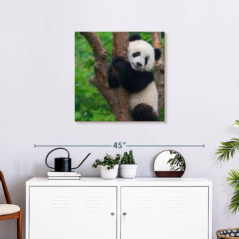 Brampt Adorable Panda, 24" H x 24" W