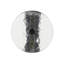 Grand Tour Furniture Glass End Table