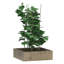 Antipus Metal Plant Support-794521517