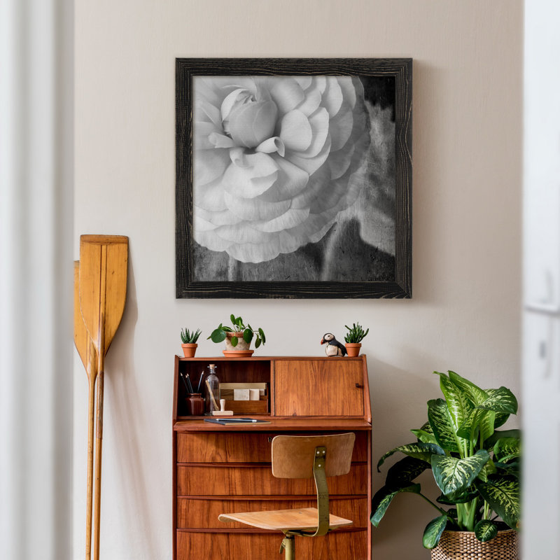 Renoncule foncé II - cadre photo, H 17 po x l 17 po x P 1,5 po, Toile avec cadre noir, Pas de tapis