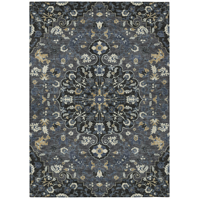 Machine Washable Indoor/Outdoor Chantille ACN2463 Traditional Rug, 5' x 7'6", Black