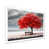 White Single Picture Framed