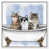 Cadre flottant blanc
