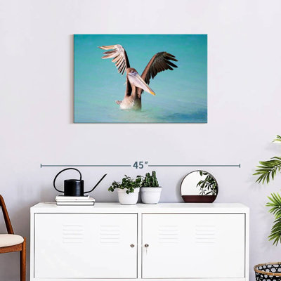 Pelican With Outstretched Wings