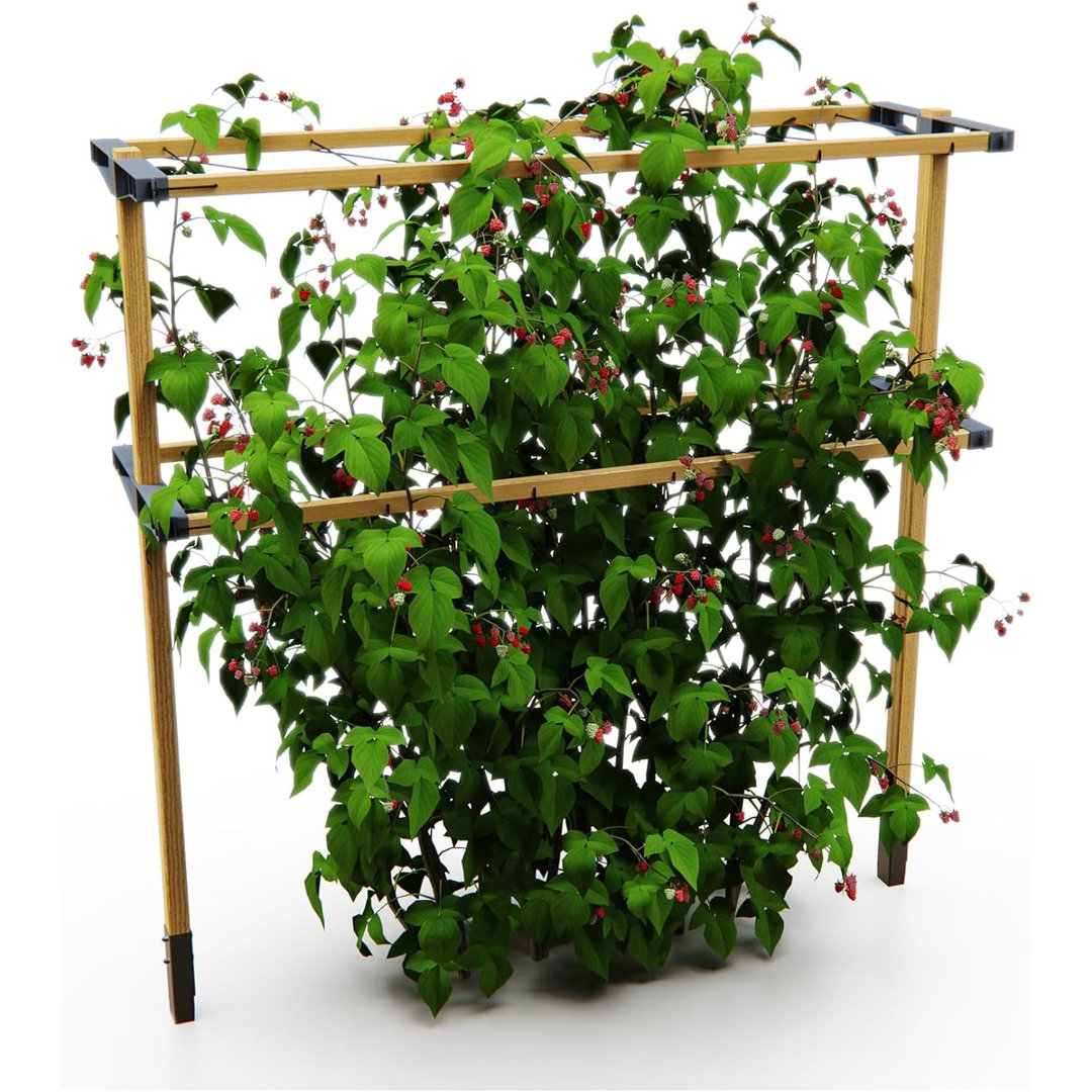 Berry Buddy Flexible and Expandable Wooden Trellis, Climbing Plant Support for Blackberries or Blueberries