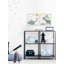 Dinosaur Adventure Diptych - 2 Piece Single Picture Frame Painting Set
