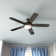 52" Cumbie 5 - Blade Outdoor LED Standard Ceiling Fan with Pull Chain and Light Kit Included