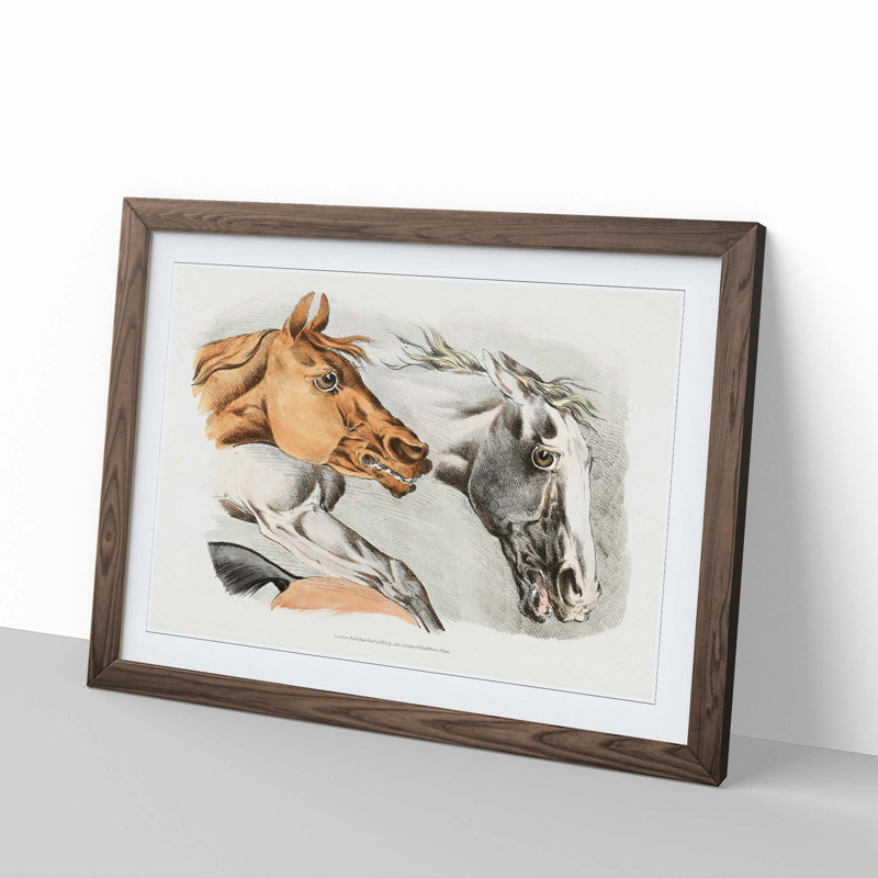 Horse Illustrations by Henry Alken - Framed Print, Walnut Framed, 27cm H x 36cm W x 2cm D