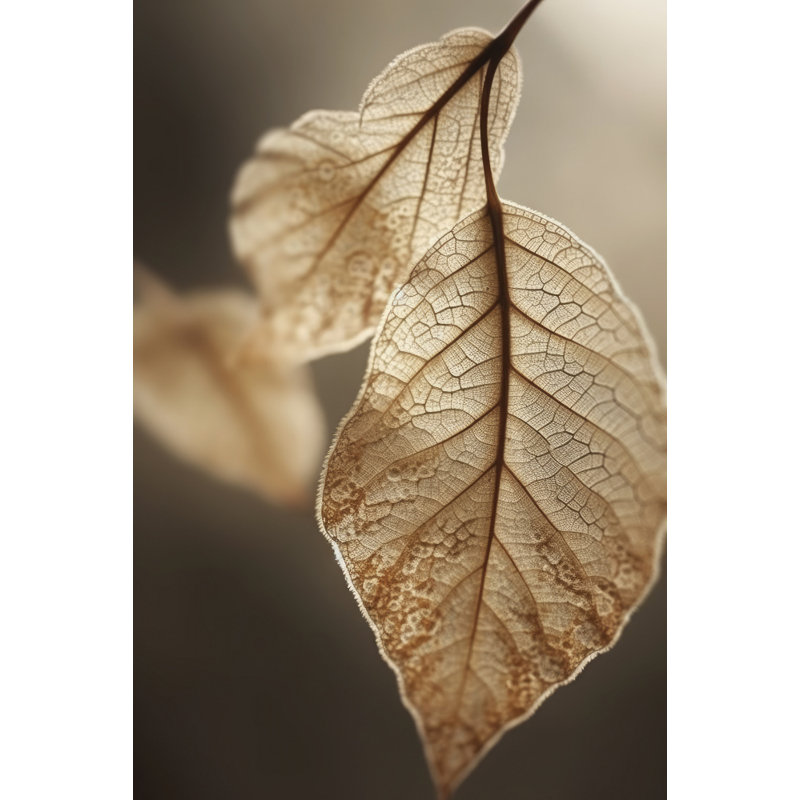 Wrapped Canvas Print, 50.8 cm H x 76.2 cm W