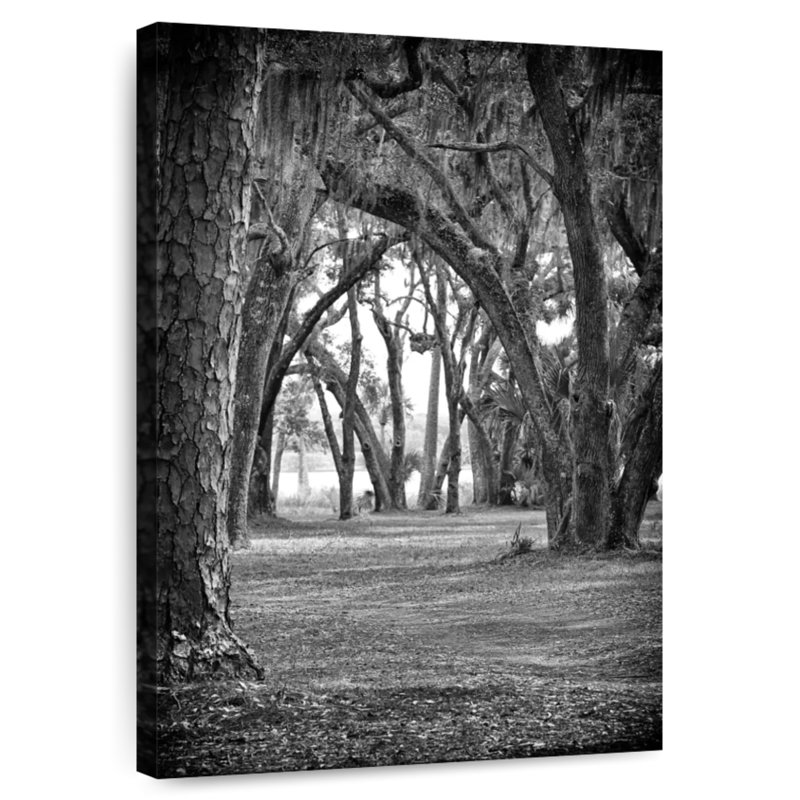 Sireci Journey Into The Woods, 48" H x 32" W