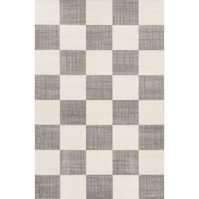 Wum Collection Gray/White Checkered Area Rug