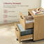 2-Drawer Filing Cabinet-760100171