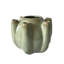 Vase tulipière, texture craquelée, vert sauge et céramique brune 9 pouces