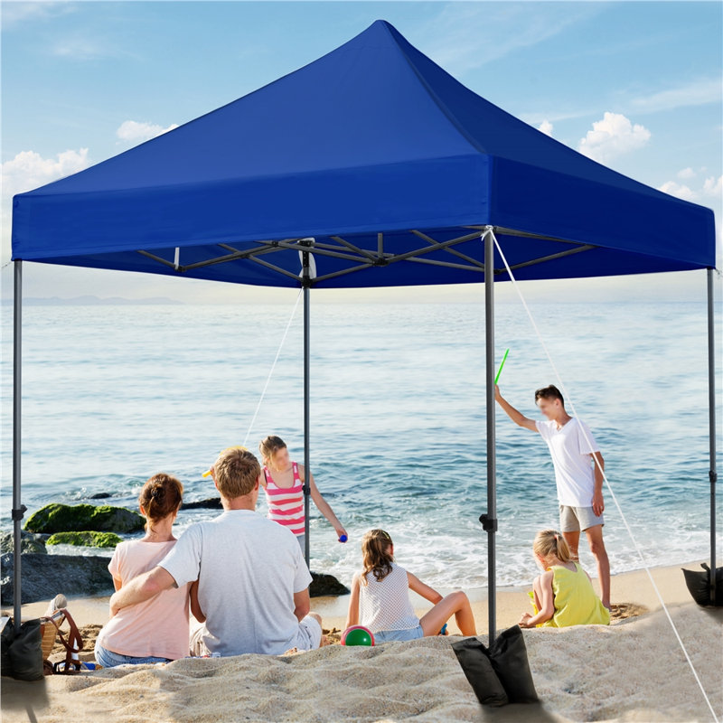 Camdyn 10 Ft. W x 10 Ft. D Steel Pop-Up Canopy, Navy Blue