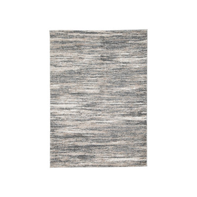 Washable Indoor Rug