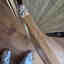 Customer photo 3 of 5