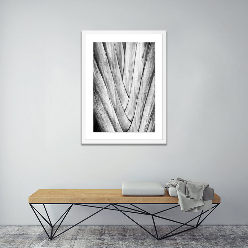Nature II Bw Print by Erica Singleton, White, 24" H x 18" W x 1.5" D
