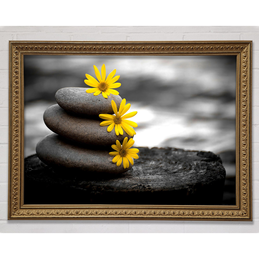 Zen Flowered Stones - Druck