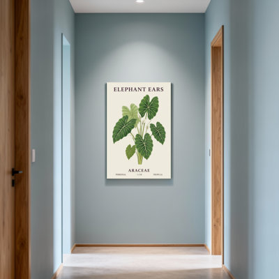 «Plants & Flowers Elephant Ears Plant», reproduction d'art botanique