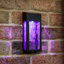 17.2cm H Solar Powered Integrated LED Outdoor Wall Lantern