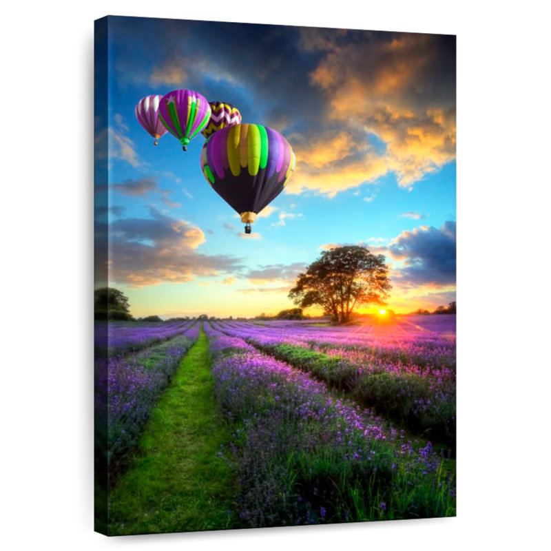 Ballons Mehar au-dessus d'un champ de lavande, H 12 po x l 8 po