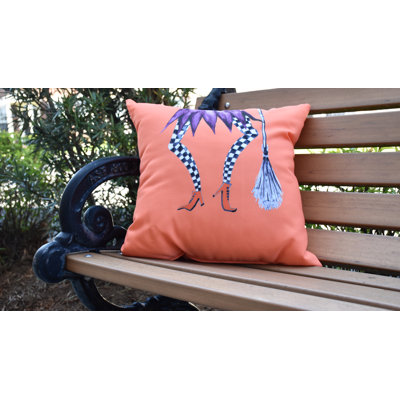 Coussin extérieur Witches Brew