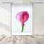 Pink Luminescence I Print by Oliver Gal-638656420-638656416