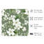 Floral, sauge, fleurs vertes, chalet VI, reproduction d'art non encadrée-1461056687