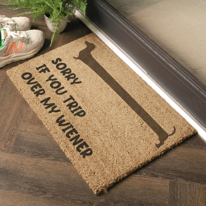 Bilyeu Non-Slip Indoor Doormat, Rectangle 40 x 60 cm