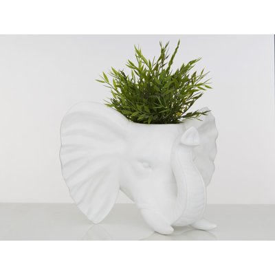 Annora Wall Planter